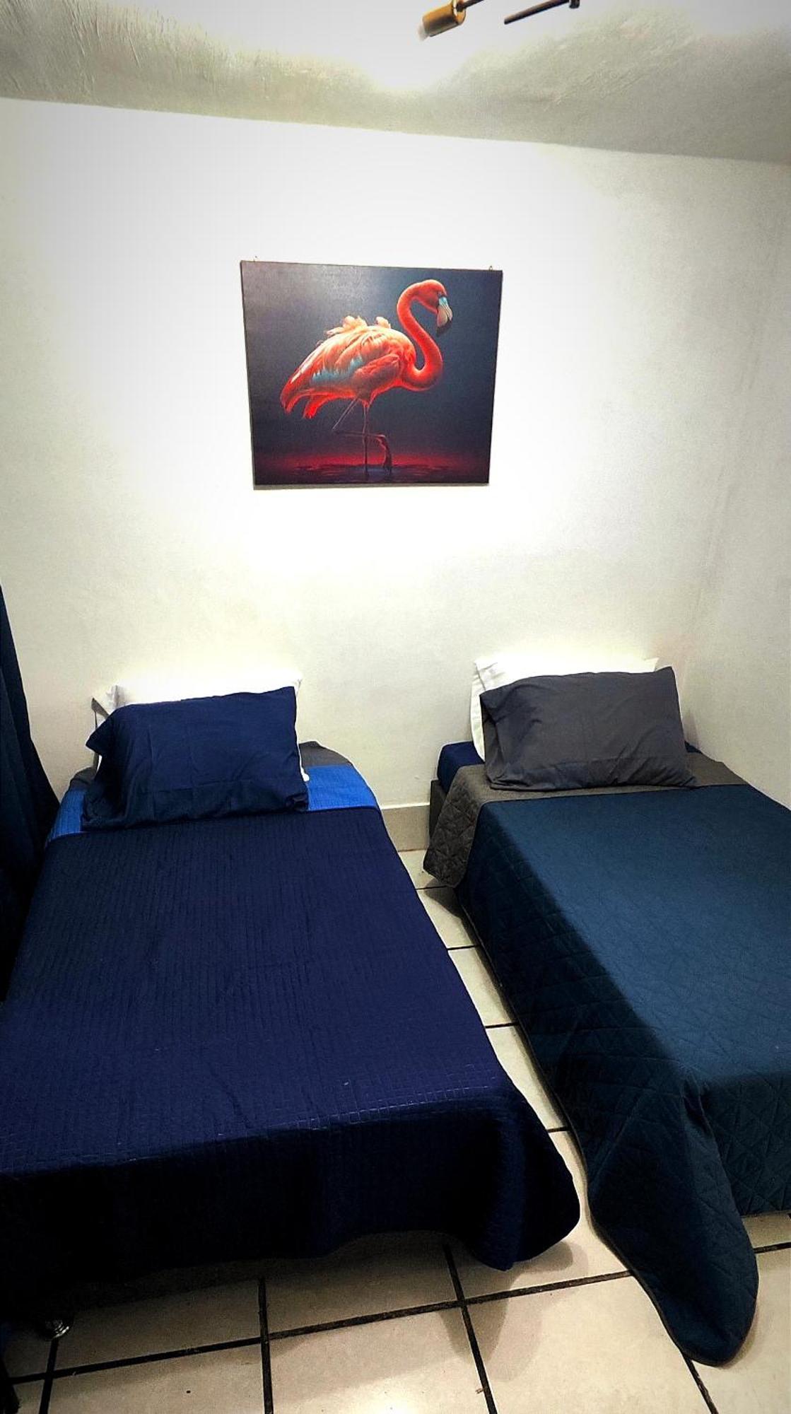 Villa Casa Camila Zapopan à Guadalajara Extérieur photo